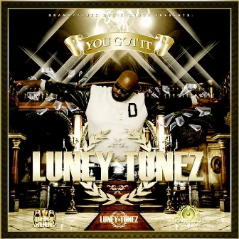 You Got It (Remix) by Luney Tunez