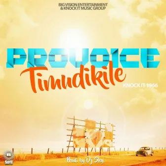 Timudikile by ProVoice