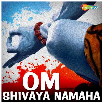 Om Shivaya Namaha by Mohan