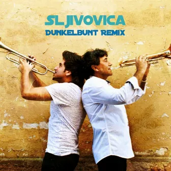 Sljivovica ([dunkelbunt] Remixes) by Boban i Marko Markovic Orkestar