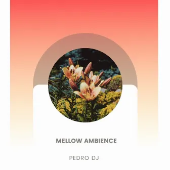 Mellow Ambience by Pedro Dj