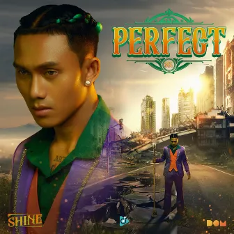 PERFECT (80's) by Shine