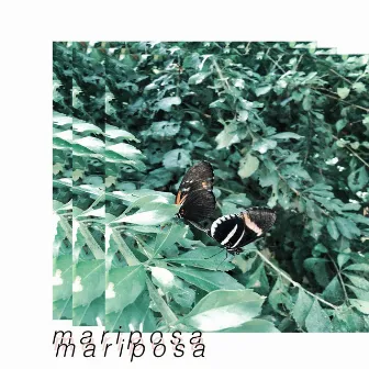 Mariposa by Frythm