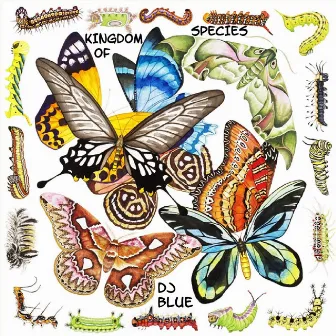 Kingdom of Species by DJ Blue