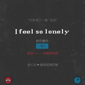 I Feel So Lonely by Unknown Artist