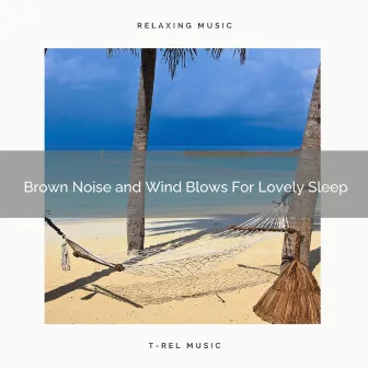 Brown Noise and Wind Blows For Lovely Sleep by Noise Waves