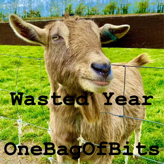 Wasted Year