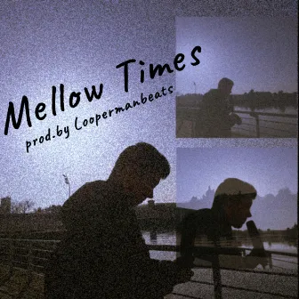 Mellow Times by Loopermanbeats