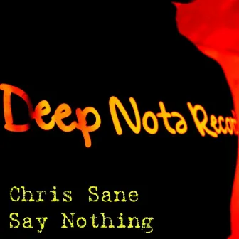 Say Nothing by Chris Sane