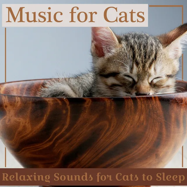 Music for Cats - Relaxing Sounds for Cats