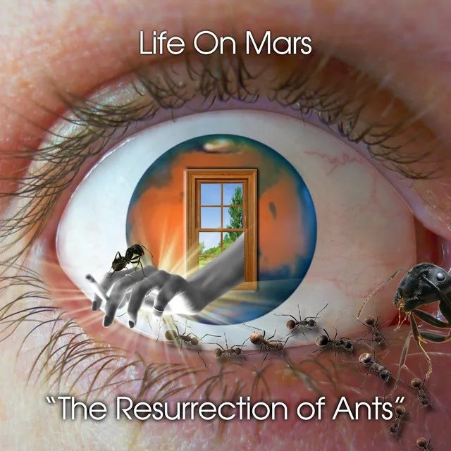 The Resurrection of Ants