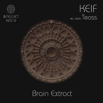 Brain Extract by KEIF