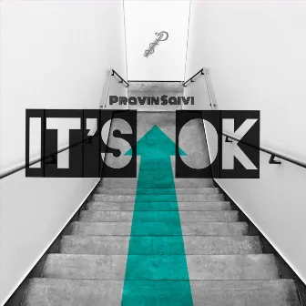 It's Ok by Pravin Saivi