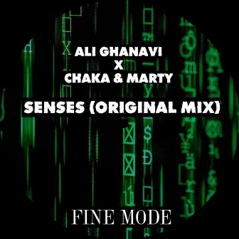 Senses by Ali Ghanavi