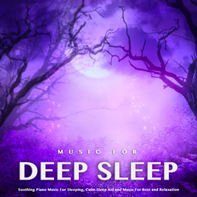 Deep Sleep Sounds