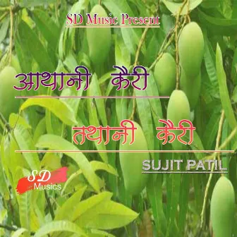 Aathani Kari Tathani Kairi by Sujit Patil