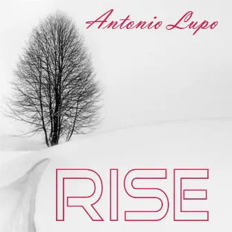 Rise by Antonio Lupo