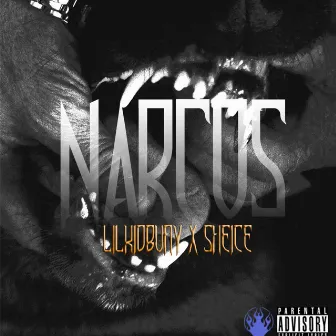 Narcos by Lilkidbuay