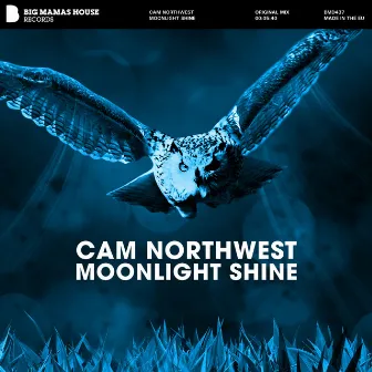 Moonlight Shine by Cam Northwest