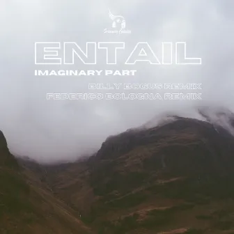 Entail by Imaginary Part