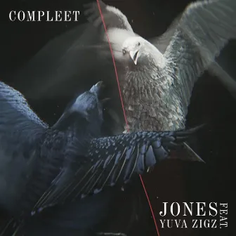 Compleet by JONES