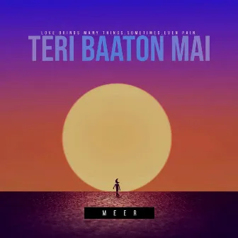 Teri Baaton Mai by Meer