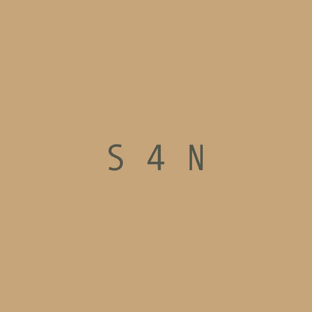 S4N