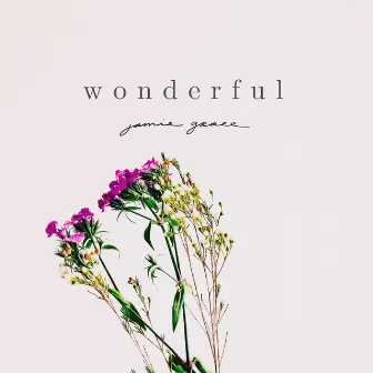 Wonderful by Jamie Grace