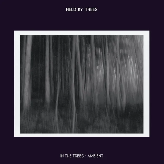 In the Trees - Ambient