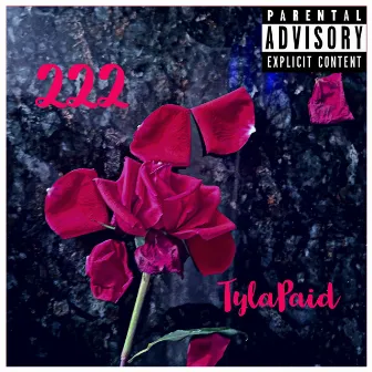 222 by TylaPaid