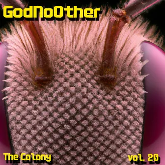 The Colony, Vol. 20 by God No Other