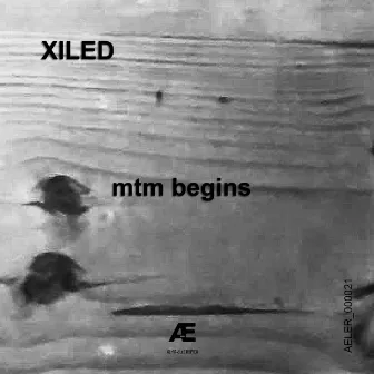 mtm begins by Xiled