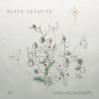 Ditiću Malom Hodite by Klapa Cesarice