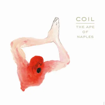 The Ape of Naples by Coil