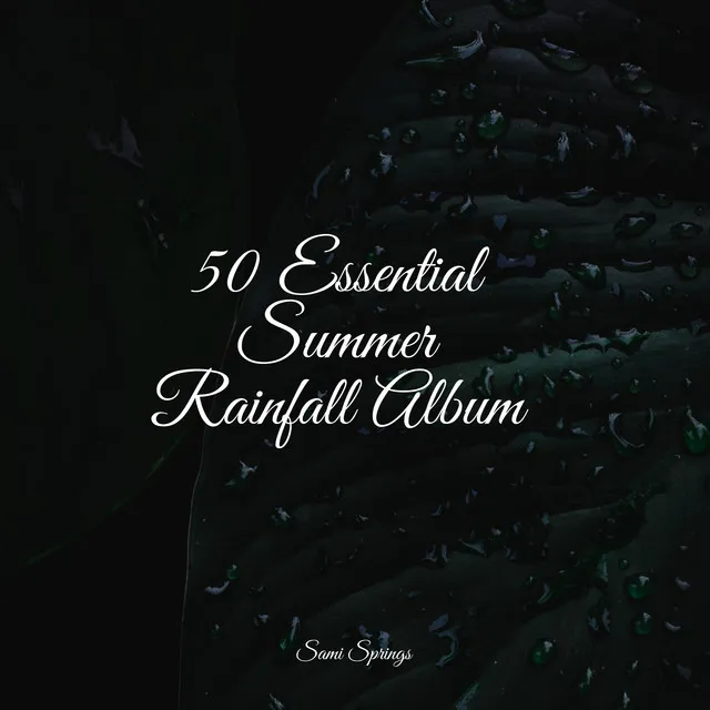 50 Essential Summer Rainfall Album