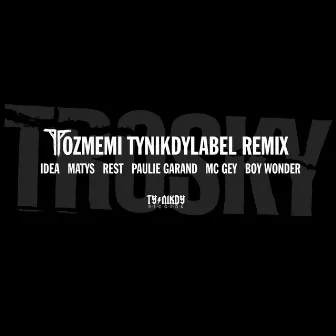 Tozmemi (Remix) by Ty Nikdy