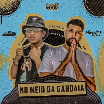 No Meio da Gandaia by Zé Madruga