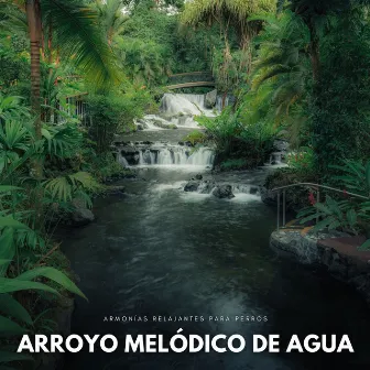 Arroyo Melódico De Agua: Armonías Relajantes Para Perros by Paisaje sonoro de agua goteando