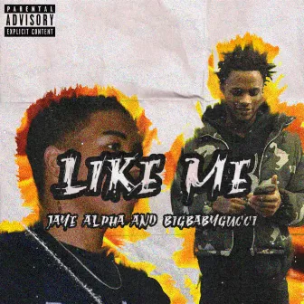 Like Me by BIGBABYGUCCI