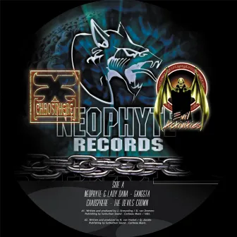 Neophyte Records Sampler Vol. 1 by Lady Dana