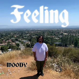 Feeling by Moody