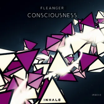 Consciousness (Original Mix) by Fleanger