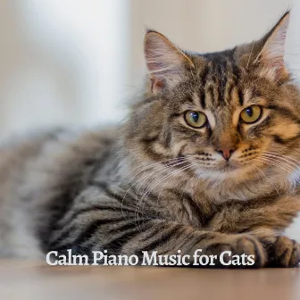 Calm Piano Music for Cats by KPH