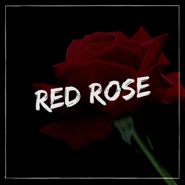 Red Rose