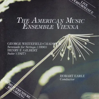 American Music Ensemble Vienna by Hobart Earle