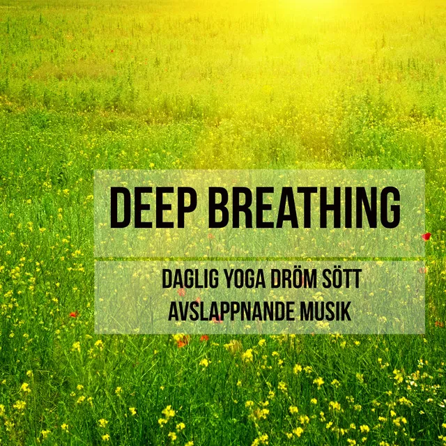 Deep Breathing - Daglig Yoga Dröm Sött Avslappnande Musik för Djup Meditation Chakra Balansering med Instrumental Lugnande Andlig Ljud