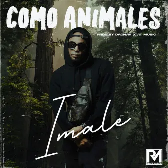 Como Animales by Imale