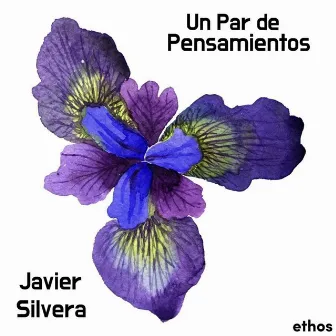 Un Par de Pensamientos by Javier Silvera