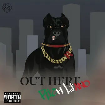 Out Here by Rich Liano