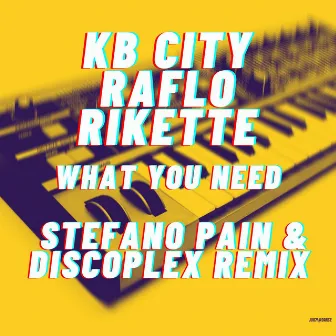 What You Need (Stefano Pain & Discoplex Remix) by KB City